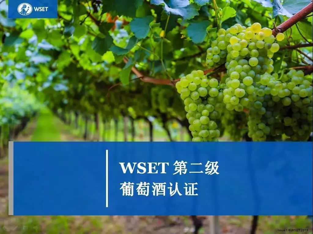2月28日|无锡WSET第二级葡萄酒认证
